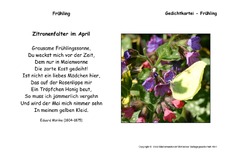 Zitronenfalter-Moerike.pdf